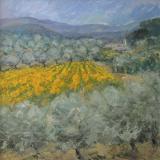 Sunflowers & Olive Groves- SOLD