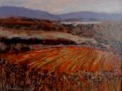 February fields, Donegal- SOLD