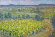 Foothills of the Cevennes- SOLD